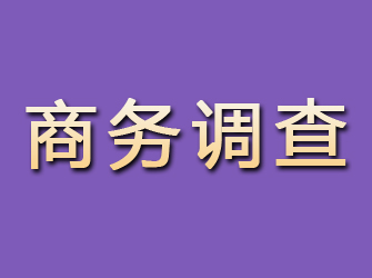 大城商务调查